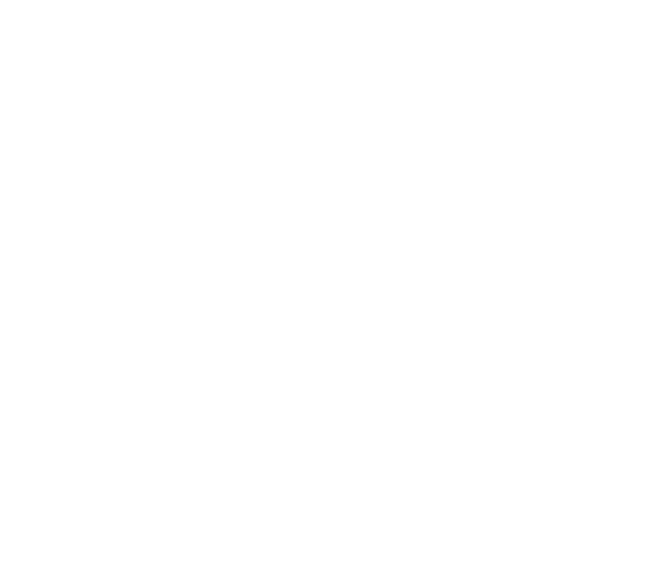 concurso internacional rosas nuevas villa madrid